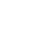 feuerwerk100